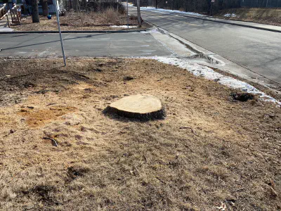 before: stump on intersection corner