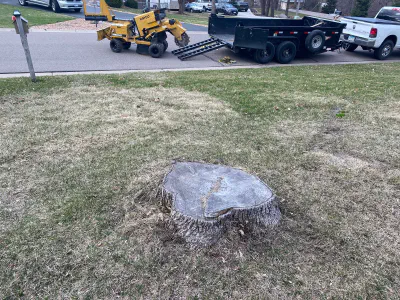 before: large front yard stump