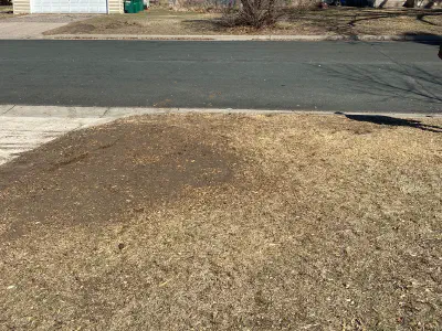 after: stump at driveway entrance