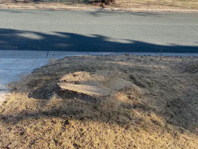 before: stump at driveway entrance