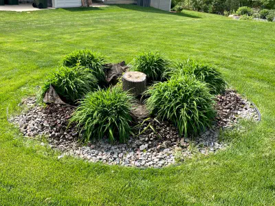 before: stump surrounded by bushes