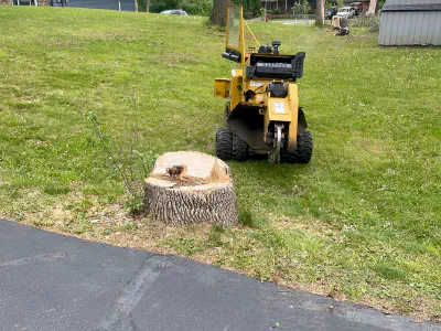 before: stump right next to a driveway