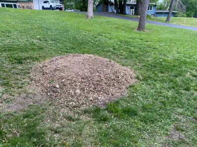 after: stump on side of a large yard