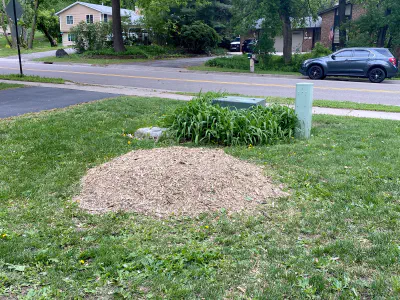 after: stump in front yard near transformer