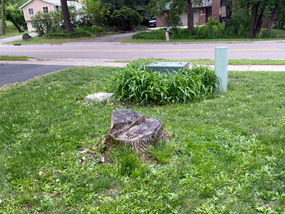 before: stump in front yard near transformer