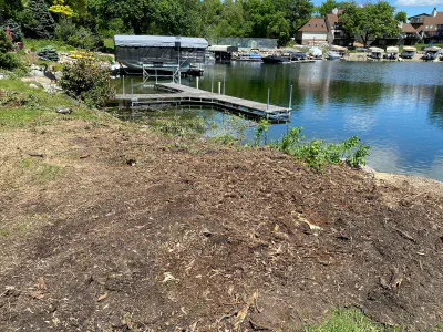 after: huge partially upturned stump with massive roots next to lake