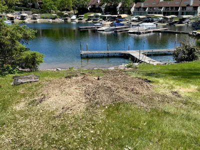 after: stump near a dock